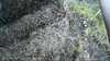 20190323-_152239_002-frame0003.jpg