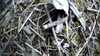 20190323-_152239_002-frame0004.jpg