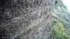 20190323-_152239_002-frame0005.jpg