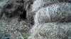 20190323-_152739_003-frame0003.jpg