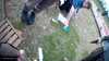 20190323-_154239_006-frame0005.jpg