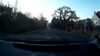 20190404-07500003-frame0003.jpg
