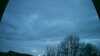 20190420-MOVI0670-frame0003.jpg