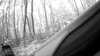 20190526-_110001_002-frame0003.jpg