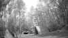 20190526-_110502_003-frame0003.jpg