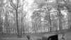 20190526-_111003_004-frame0003.jpg