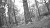 20190526-_113502_009-frame0004.jpg