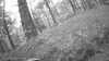 20190526-_113502_009-frame0005.jpg