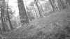 20190526-_114002_010-frame0001.jpg