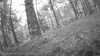 20190526-_114002_010-frame0003.jpg