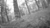 20190526-_114002_010-frame0004.jpg