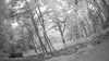 20190526-_115002_012-frame0003.jpg