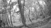 20190526-_120502_015-frame0003.jpg