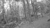 20190526-_120502_015-frame0004.jpg