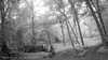 20190526-_120502_015-frame0005.jpg