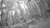 20190526-_121002_016-frame0001.jpg