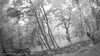 20190526-_121002_016-frame0003.jpg