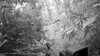 20190526-_121502_017-frame0003.jpg