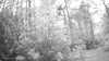 20190526-_121502_017-frame0004.jpg