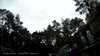 20190526-_145421_006-frame0001.jpg