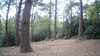 20190526-_163921_027-frame0002.jpg