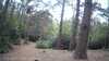 20190526-_163921_027-frame0003.jpg