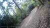20190526-_170421_032-frame0003.jpg