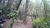20190526-_172921_037-frame0004.jpg