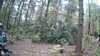 20190526-_172921_037-frame0005.jpg
