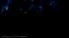20190526-_215625_019-frame0001.jpg
