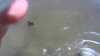 20190601-132346A-frame0004.jpg