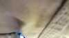 20190601-152726A-frame0001.jpg