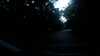 20190622-211645A-frame0005.jpg