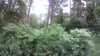 20190706-173413A-frame0003.jpg