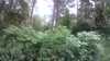 20190706-173413A-frame0004.jpg