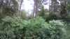 20190706-173413A-frame0005.jpg