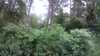 20190706-173913A-frame0002.jpg