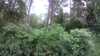 20190706-173913A-frame0003.jpg