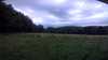 20190706-184913A-frame0001.jpg