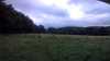 20190706-184913A-frame0004.jpg