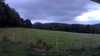 20190706-200913A-frame0005.jpg