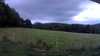 20190706-201413A-frame0002.jpg