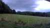 20190706-201413A-frame0004.jpg
