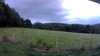 20190706-201913A-frame0001.jpg