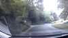 20190711-062843A-frame0008.jpg
