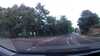 20190711-062843A-frame0009.jpg