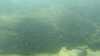 2019-07-13:Cancale
