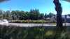 20190715-143239A-frame0001.jpg
