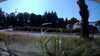 20190716-091755A-frame0013.jpg