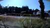 20190716-091755A-frame0014.jpg